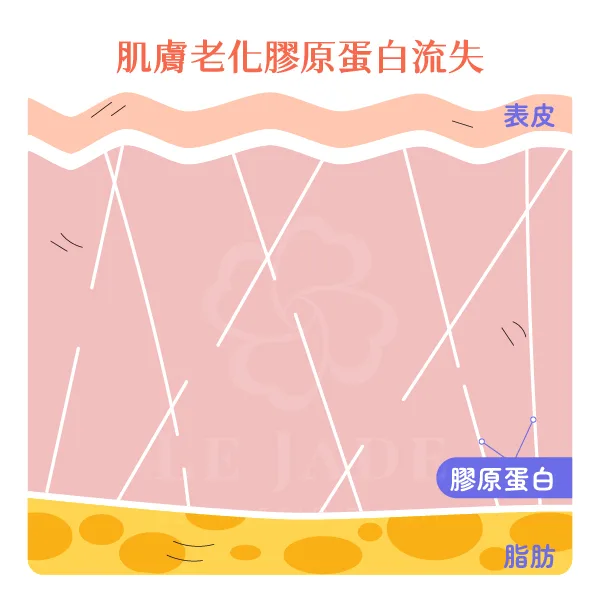 鳳凰電波