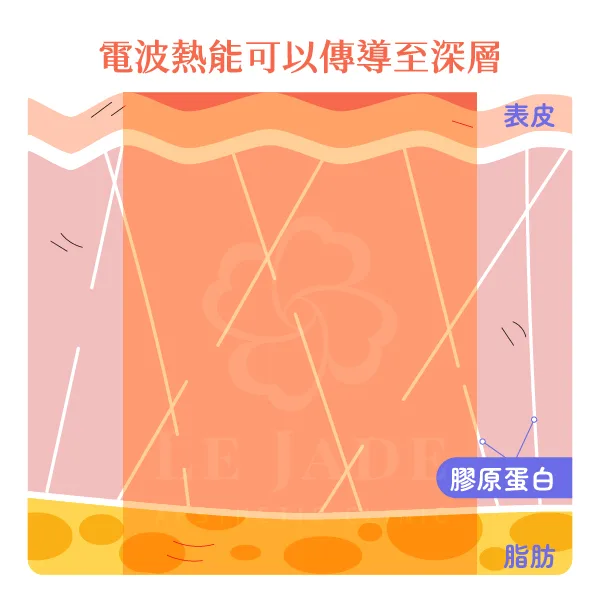 鳳凰電波